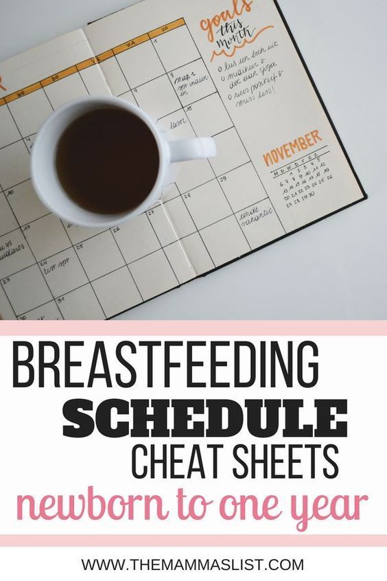 24 breastfeeding diet schedule
 ideas