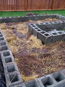 best post i've seen on raised cinderblock garden with what to put for your layers -   24 cinder block garden beds
 ideas