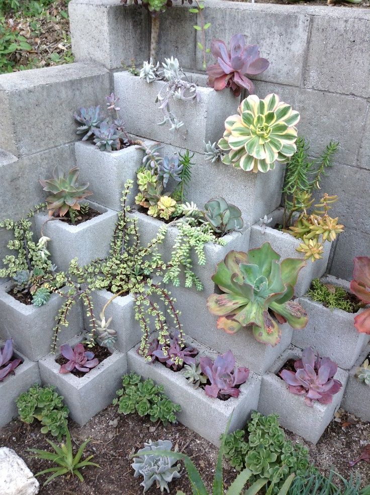 These 14 DIY Projects Using Cinder Blocks Are Brilliant -   24 cinder block garden beds
 ideas