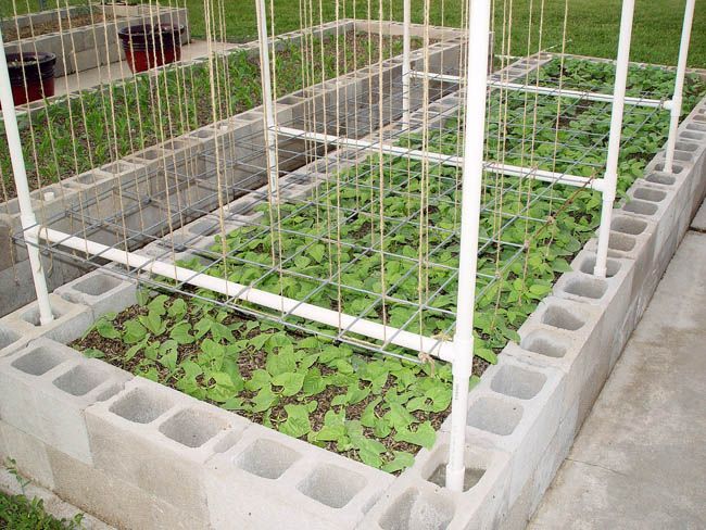 trellis raised bed gardening.  how to, several photos!! -   24 cinder block garden beds
 ideas