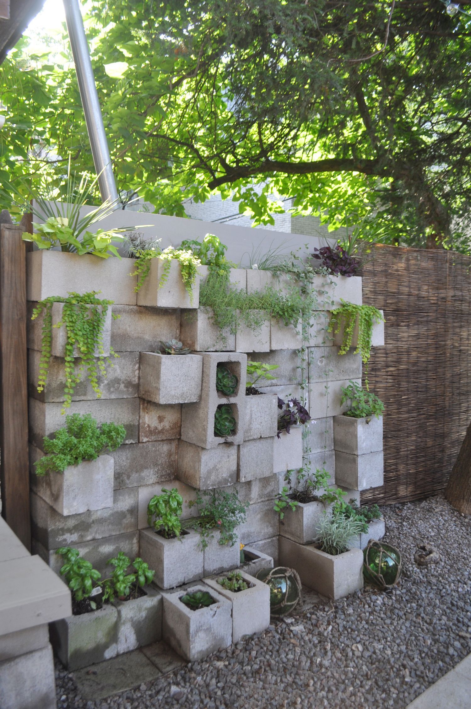 Budget Backyard: 10 Ways to Use Cheap Concrete Cinder Blocks Outdoors -   24 cinder block garden beds
 ideas