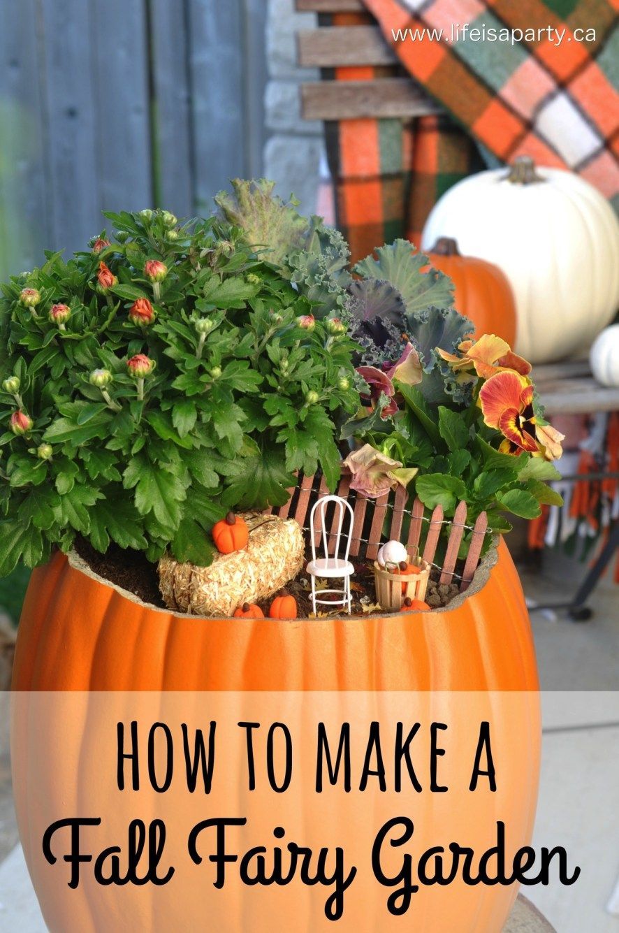 How to Make a Fall Fairy Garden - an easy way to celebrate Fall! -   24 garden steps fun
 ideas