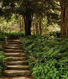 24 garden steps long
 ideas