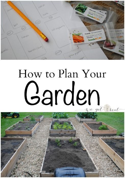 How to Plan Your Garden -   24 garden steps long
 ideas