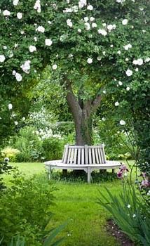 Dream Decks -   24 zen garden bench
 ideas