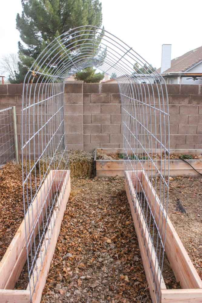 How to make a Trellis & Raised Garden Box Combo -   25 garden beds wall
 ideas