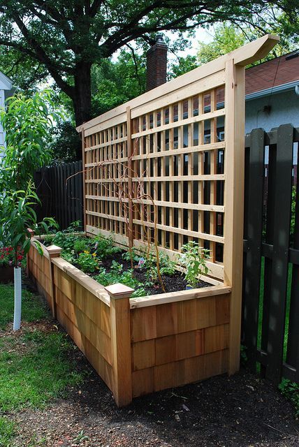 Raised planter with trellis -   25 garden beds wall
 ideas