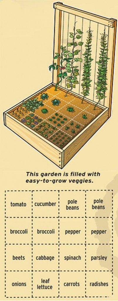 UsedEverywhere | Start a Vegetable Garden: A Beginners' Guide for the Red Thumbed -   25 garden beds wall
 ideas