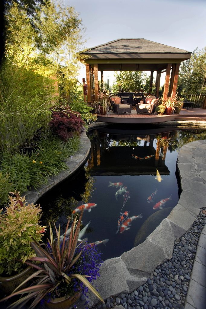 25 garden pond design
 ideas