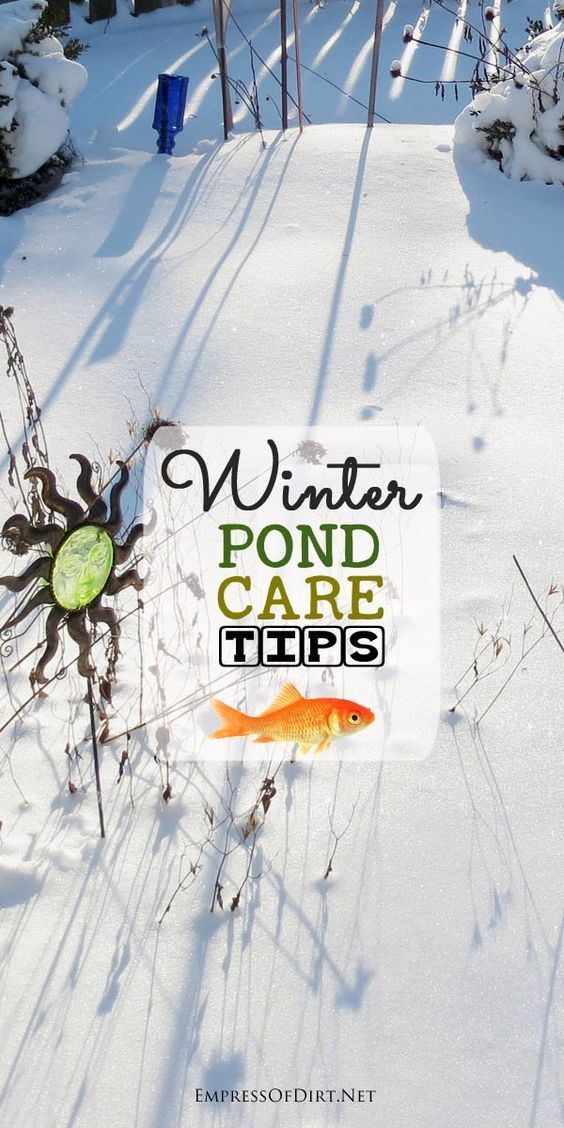 How to Keep Pond Fish Alive in Winter -   25 garden pond design
 ideas