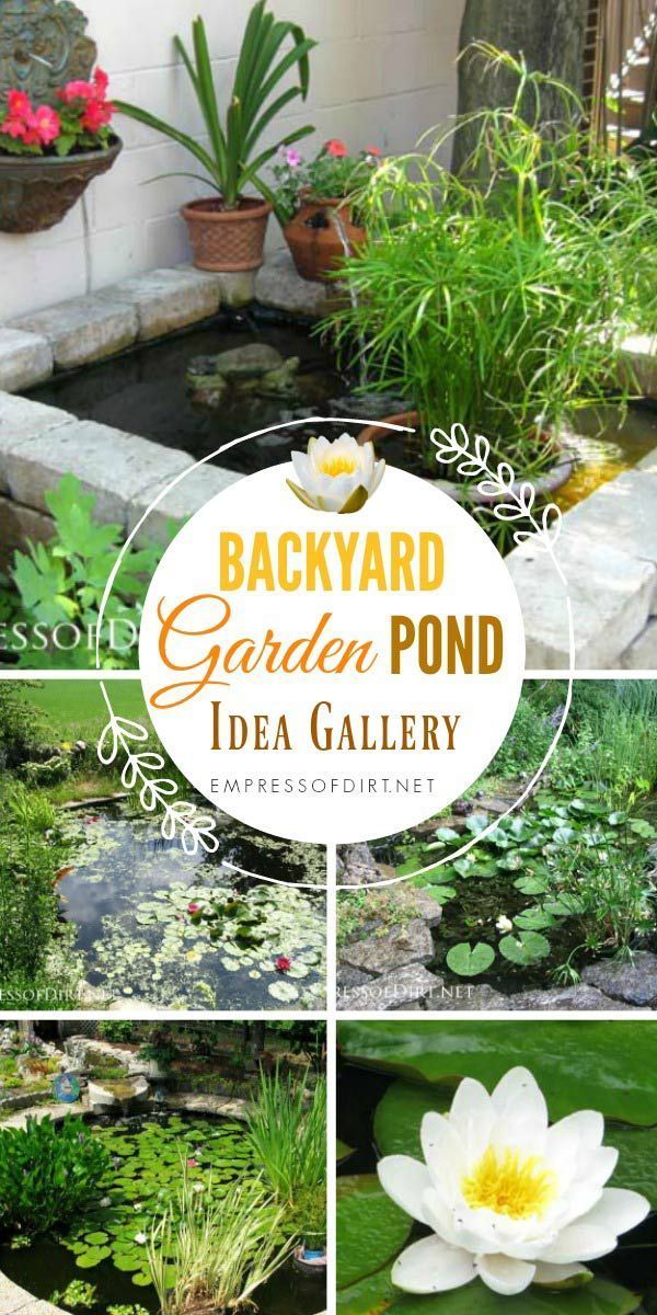 25 garden pond design
 ideas