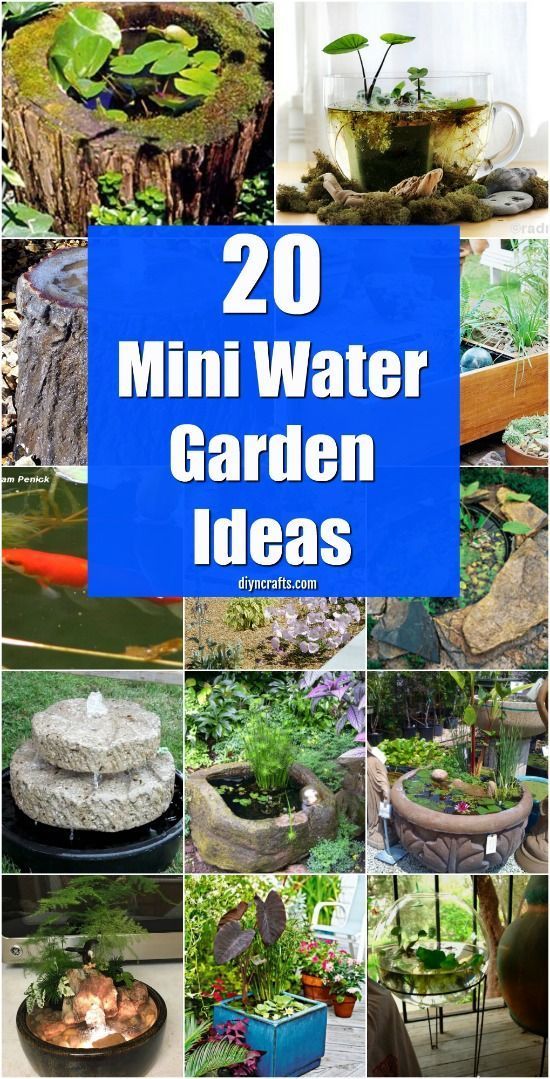 16 cheap garden landscaping
 ideas