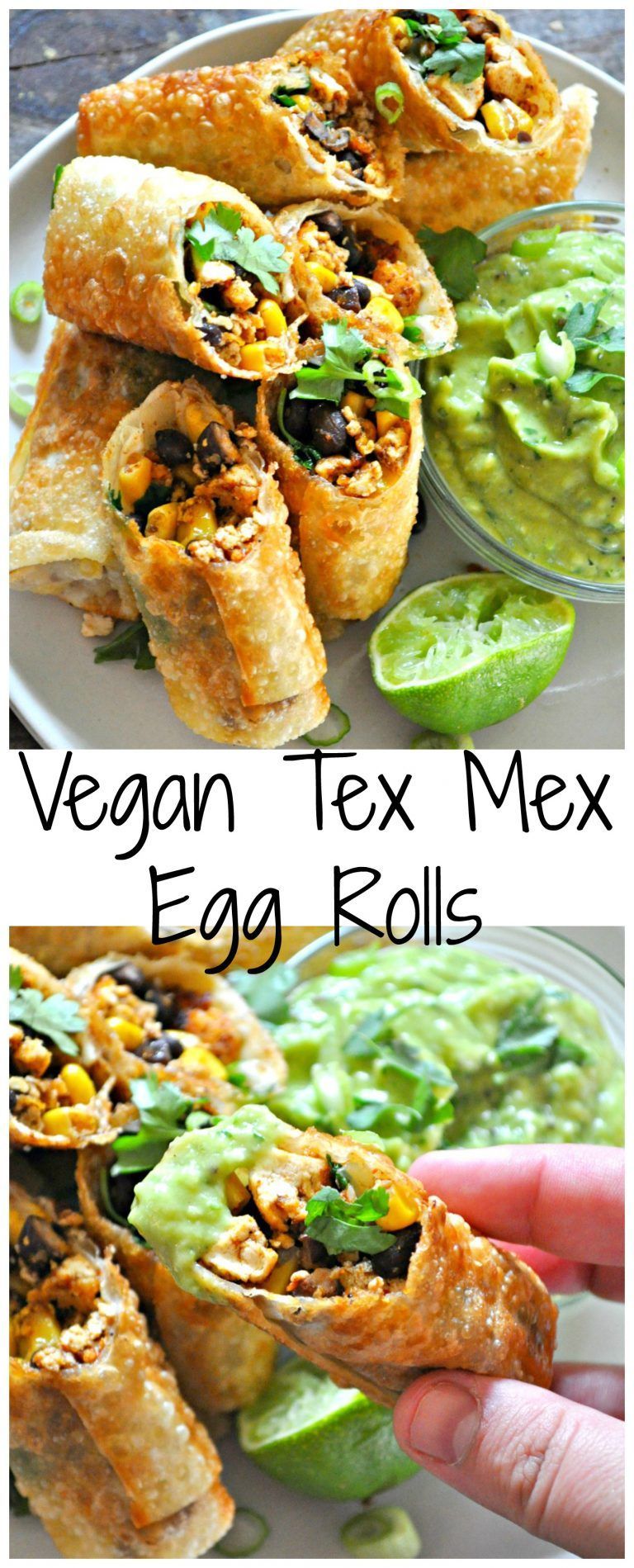 Vegan Tex Mex Egg Rolls -   19 vegetarian recipes vegan
 ideas