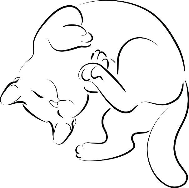I would have two of these in a ying yang pattern; one tuxedo, the other ginger tabby. -   20 calico cat tattoo ideas