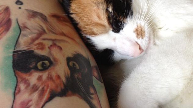 Gallery: 13 Cool Cat Tattoos! -   20 calico cat tattoo ideas