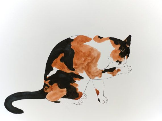 Calico - original watercolor ink painting -   20 calico cat tattoo ideas