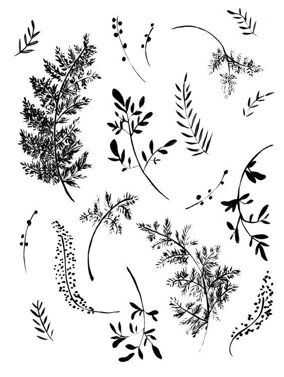Black and White Fern Art Print - 8 x 10 -   20 mens tattoo nature
 ideas
