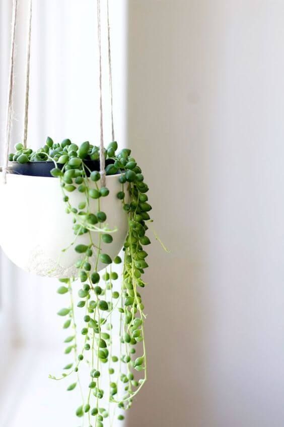 30+ Beautiful Indoor Plants Design in Your Interior Home -   21 desk decor plants
 ideas