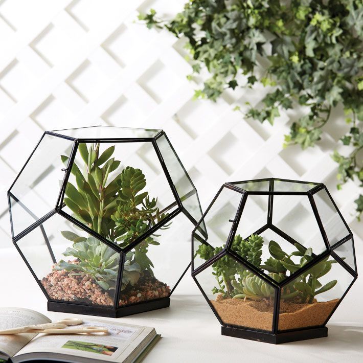 21 desk decor plants
 ideas