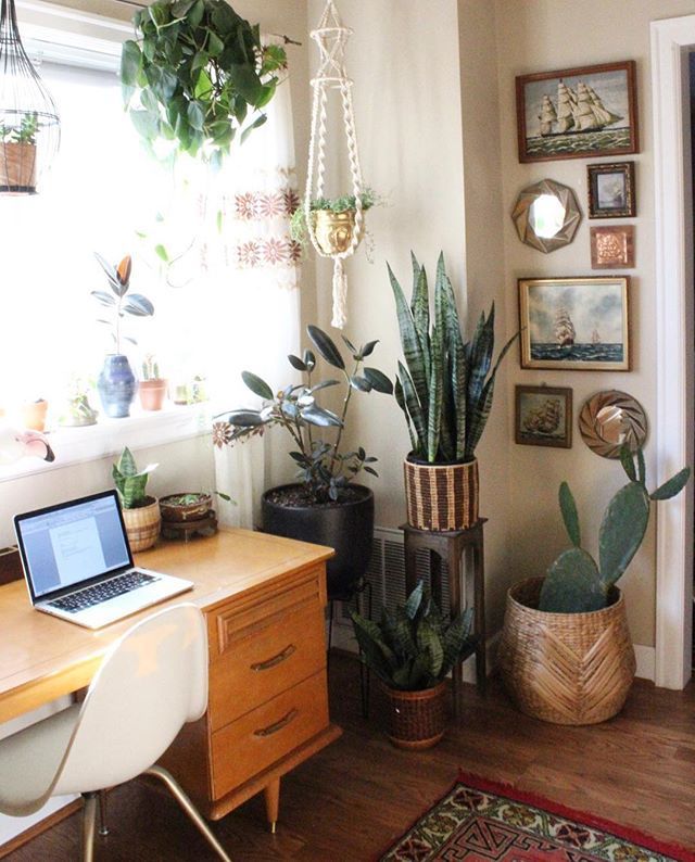 Stuck at my desk all day photo editing but I can't complain. Got my kitties and all my plants to keep me company  First Friday website sale starts tomorrow 8:00am PT -   21 desk decor plants
 ideas