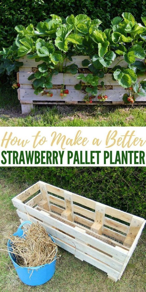 How to make a better Strawberry Pallet Planter #Pallet_gardening -   23 pallet garden decking
 ideas