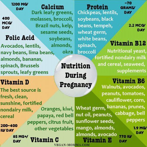 It's easy to maintain the proper nutrition during pregnancy on a vegan diet, just eat a varied diet of many fruits and vegetables. -   24 healthy pregnancy diet
 ideas