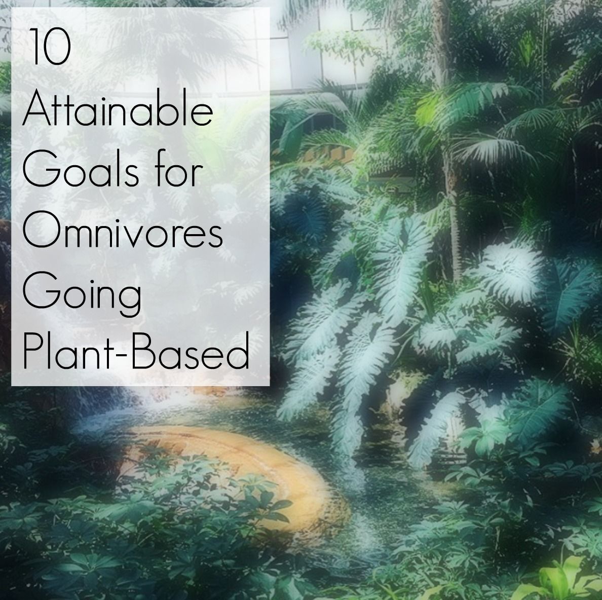 10 Attainable Goals for Omnivores Going Plant-Based -   24 plant based for beginners
 ideas