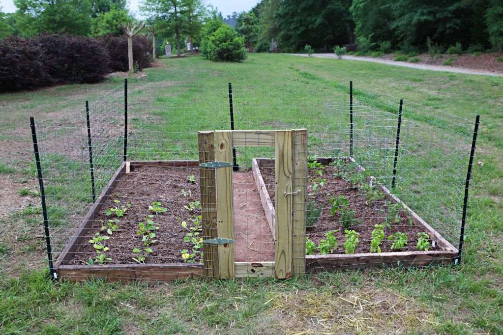 Katie, Katie, quite contrary -   24 rock garden fence
 ideas