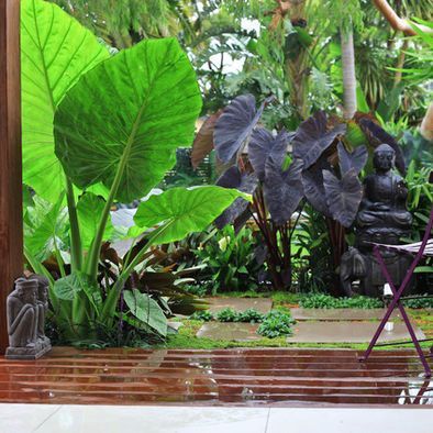 Tropical Garden Design, Pictures, Remodel, Decor and Ideas -   24 tropical garden texas
 ideas