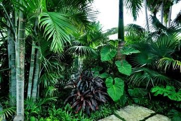 Cornfeld - tropical - landscape - Craig Reynolds Landscape Architecture -   24 tropical garden texas
 ideas