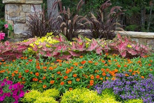 Texas gardening guides by month:  Beat the heat with sun-loving blooms, pest control, good lawn care and sun protection. Pick up the pace for planting and planning -   24 tropical garden texas
 ideas