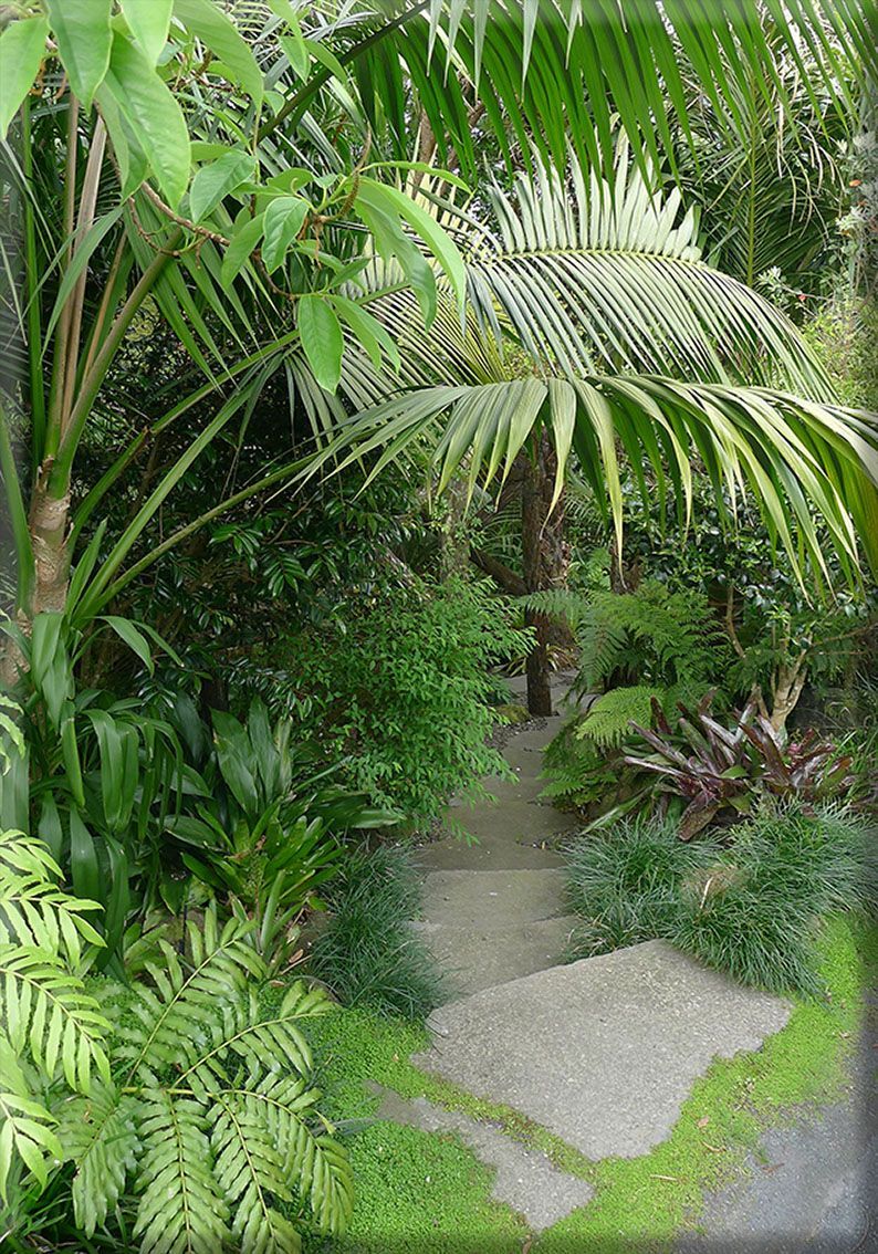 Titirangi garden bush path -   24 tropical garden texas
 ideas