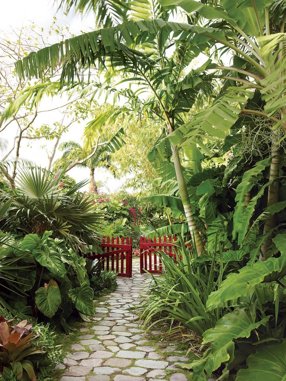 photographs of artists Helen and Brice Marden's inn in Nevis, in the Caribbean, with gardens designed by Raymond Jungles -   24 tropical garden texas
 ideas