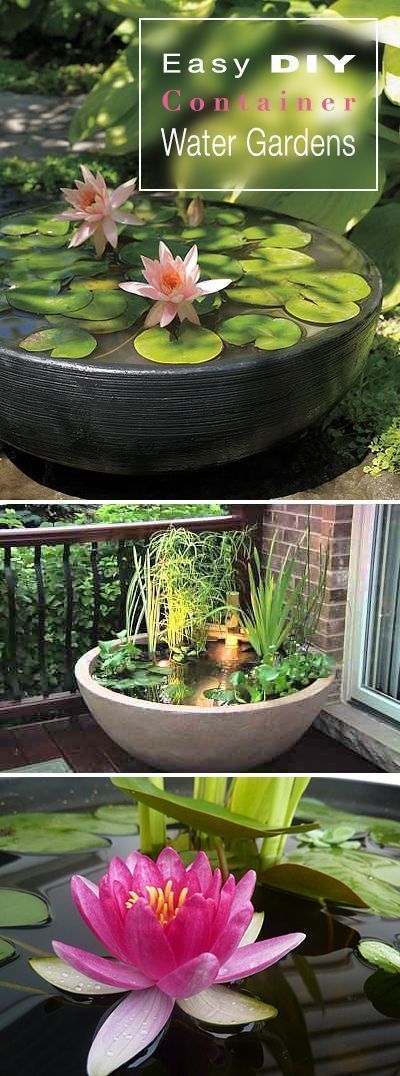 Easy DIY Container Water Gardens -   24 urban garden architecture
 ideas