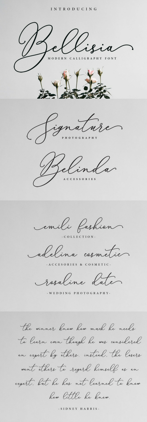 Bellisia Script + Bold Version -   25 bold tattoo fonts
 ideas