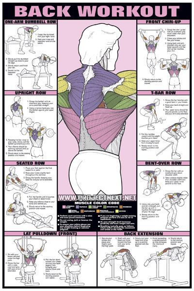 Back Workout for Men - Upright Row Seated Dumbbell Exercise Gym -   25 fitness men back
 ideas