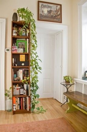 love the tall bookcase, the trailing philodendron, and the recycled glass bottle on the floor, oh and that killer bench and side table -   25 tall shelf decor
 ideas