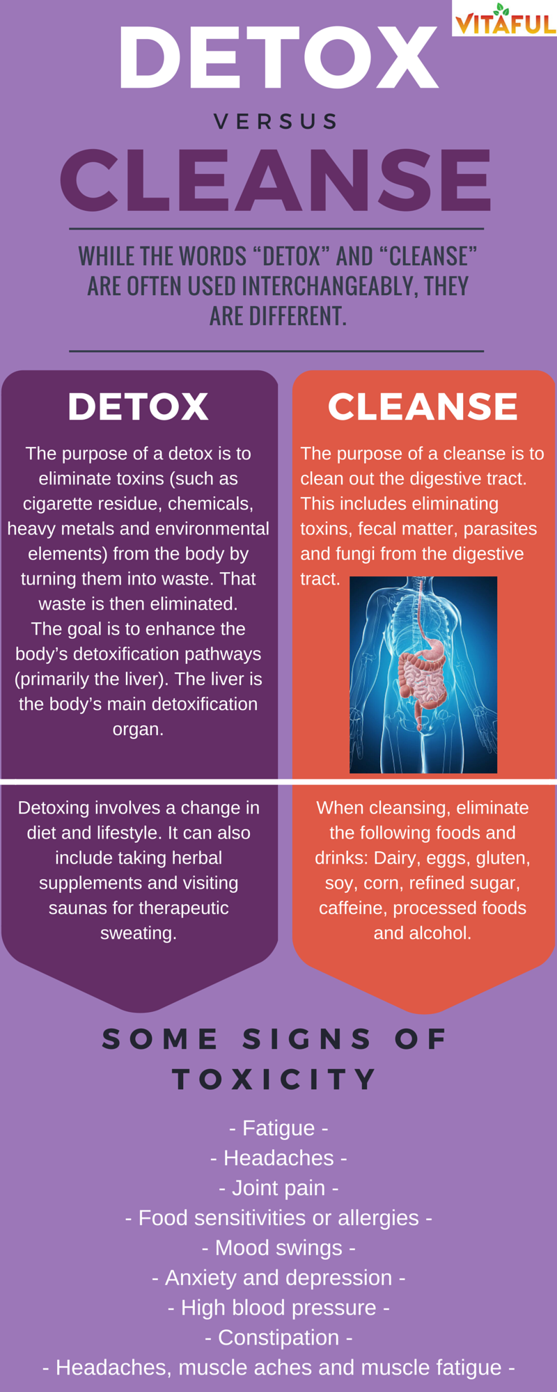 Iaso Tea by Total Life Changes -   18 fruit cleanse diet
 ideas