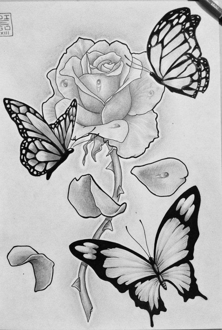 picture of roses with butterflies - Google Search -   18 rose butterfly tattoo
 ideas