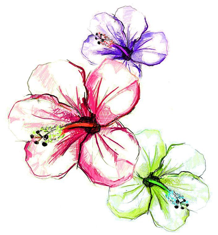 19 hibiscus flower tattoo
 ideas