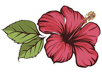 Hibiscus Flower Tattoos -   19 hibiscus flower tattoo
 ideas