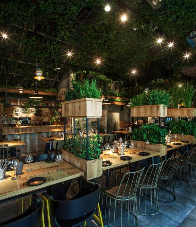 Dit restaurant in Isra?l staat vol planten waar de kok mee kookt -   21 kitchen garden cafe
 ideas