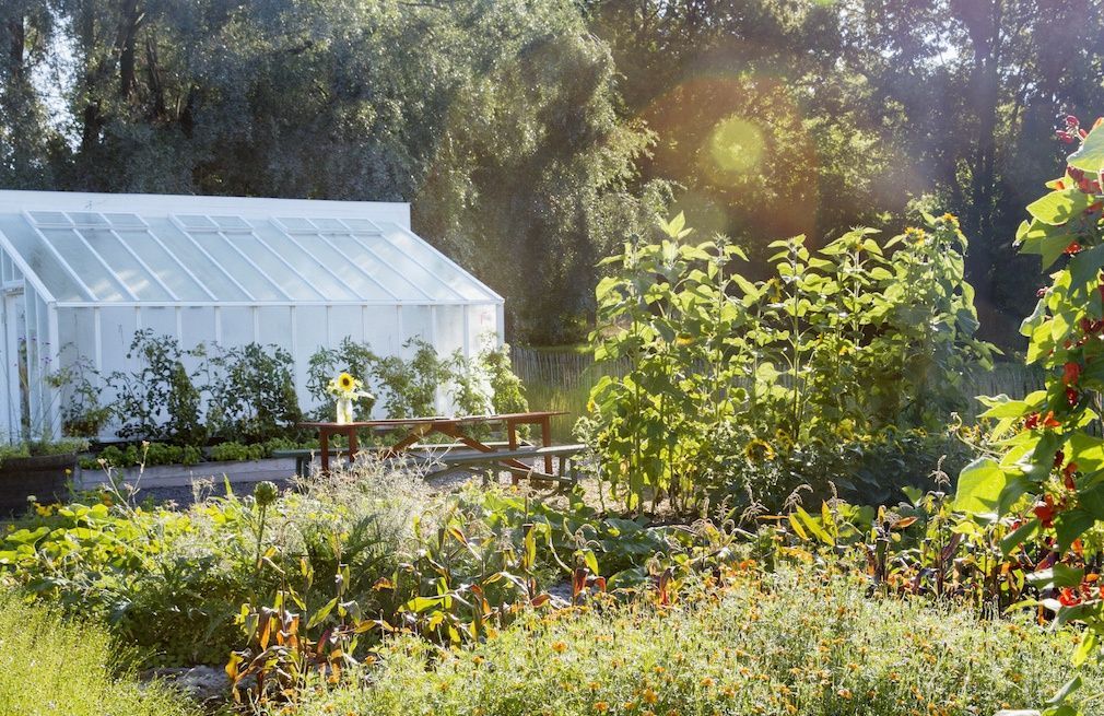 Landscaping 101: Biodynamics for the Edible Garden -   21 kitchen garden cafe
 ideas