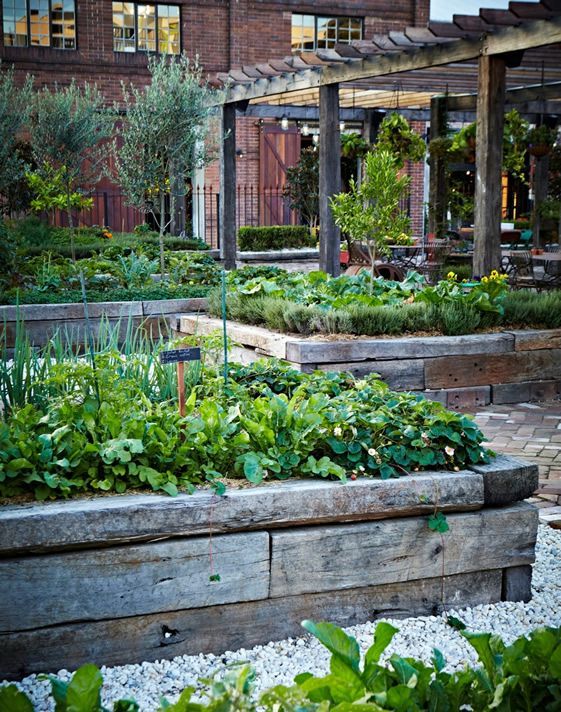 Australian cafe garden with pavilion -   21 kitchen garden cafe
 ideas