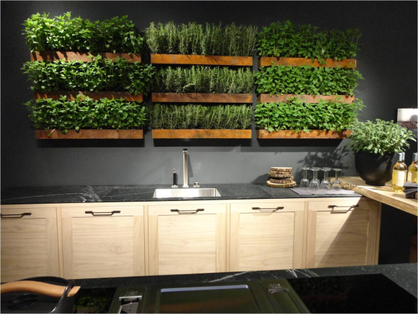 Big Ideas for Micro Living: Trending in North America -   21 kitchen garden cafe
 ideas