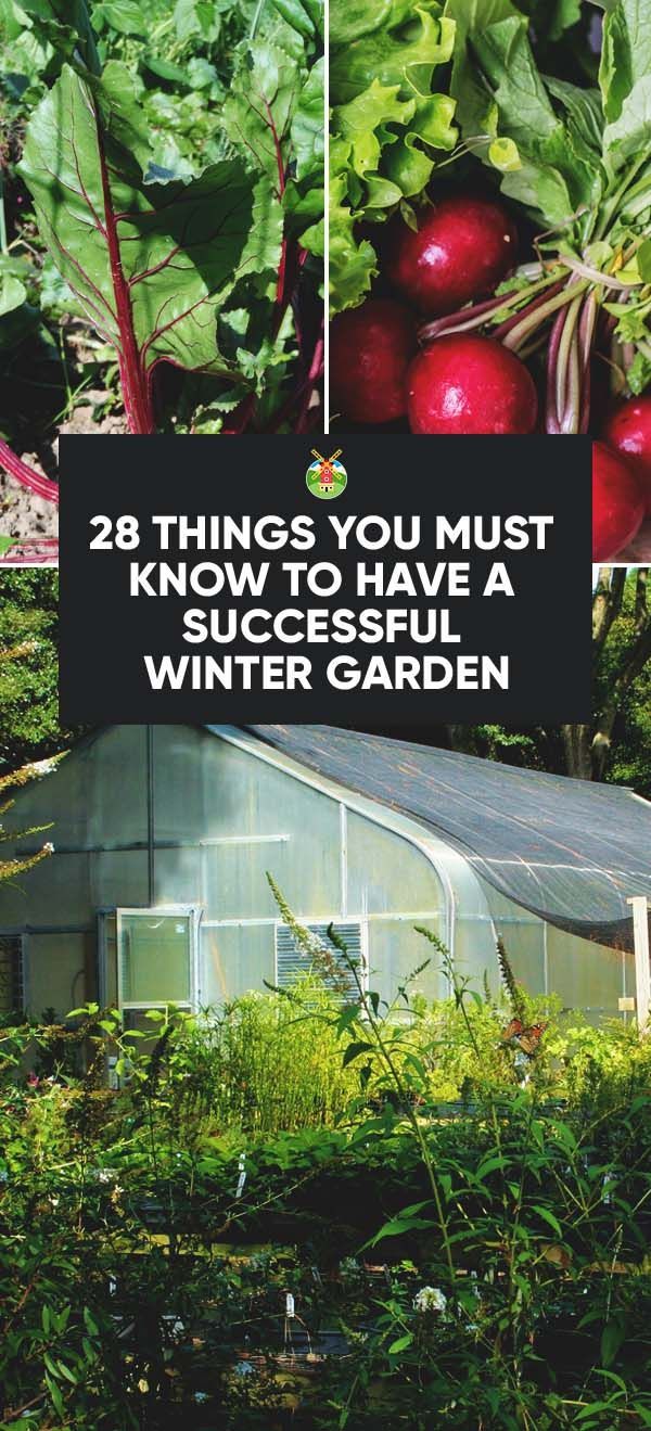 28 Things You Must Know to Have a Successful Winter Garden -   21 winter garden patio
 ideas