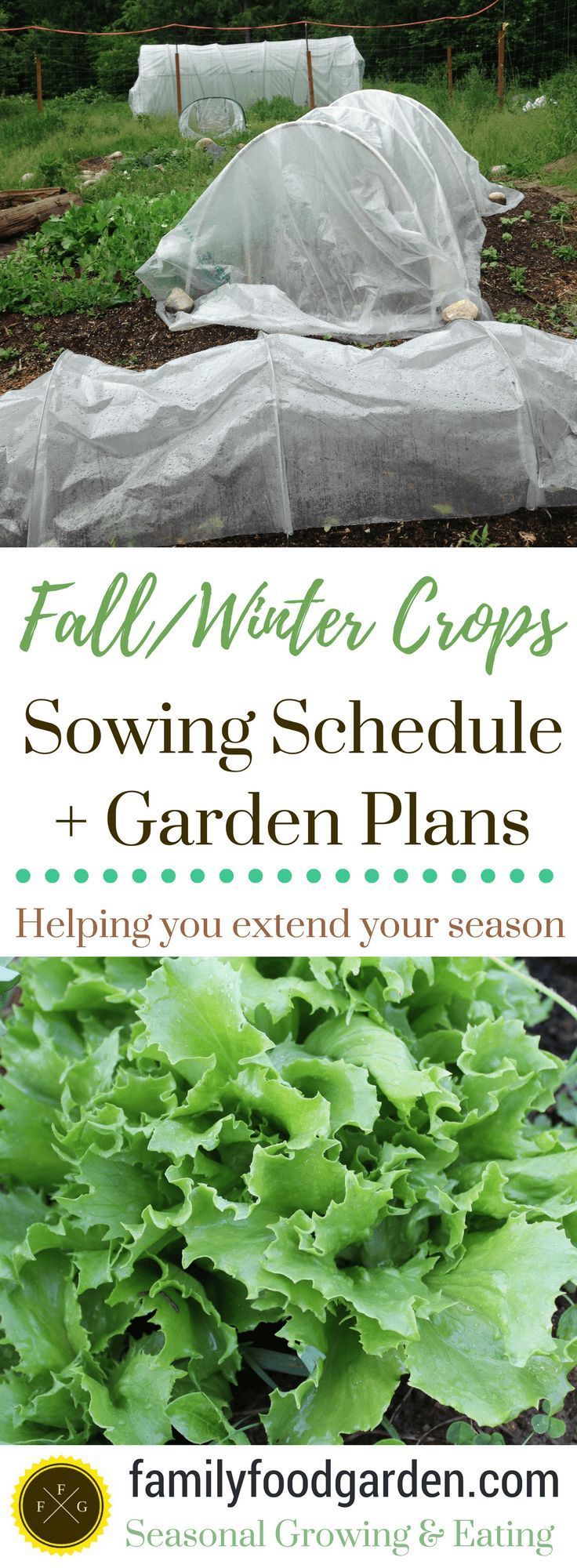 Fall and Winter Garden Plans & Planting Schedule -   21 winter garden patio
 ideas