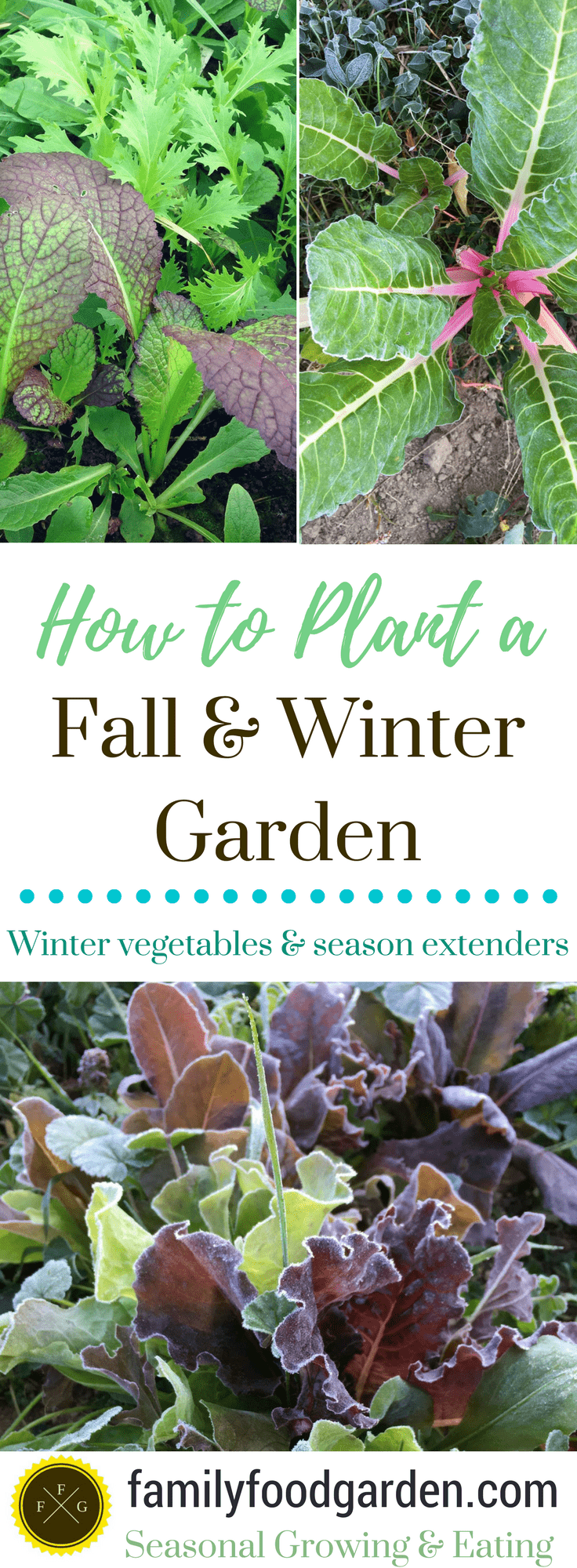 How to Plant your Fall and Winter Garden -   21 winter garden patio
 ideas