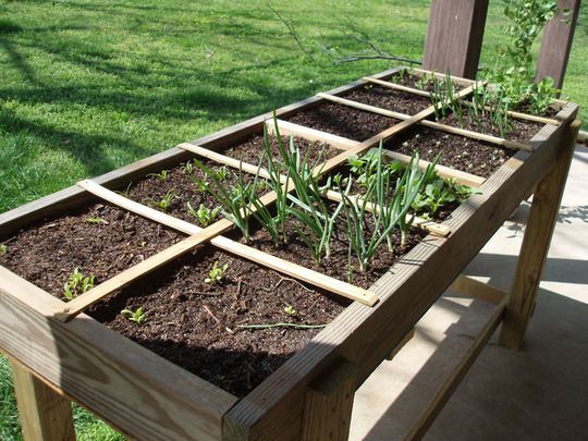 22 garden diy box
 ideas