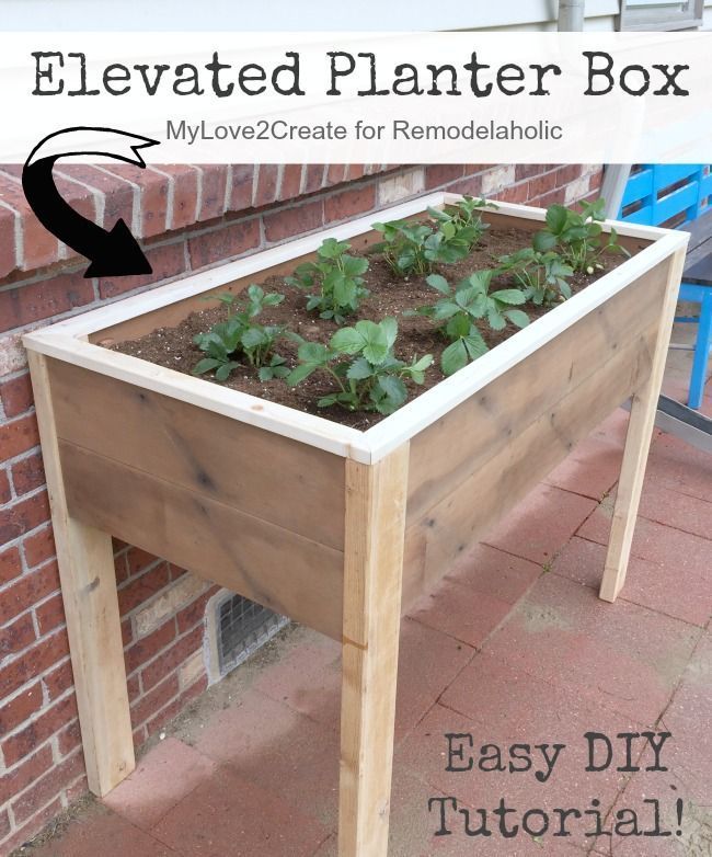 This DIY elevated planter box is raised up off the ground, so you can have your fresh foods AND save your back and knees this summer! -   22 garden diy box
 ideas